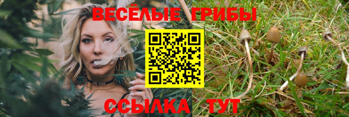 Псилоцибиновые грибы мицелий  Вход с VPN  Апатиты 